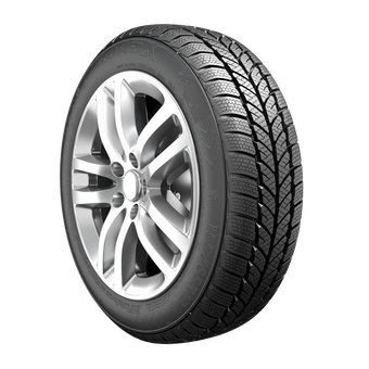 RoadX Wh01 Rxfrost (175/70 R14 84T)